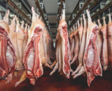 Demi porc (+- 45Kg)