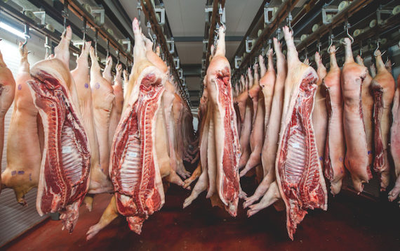 Demi porc (+- 45Kg)